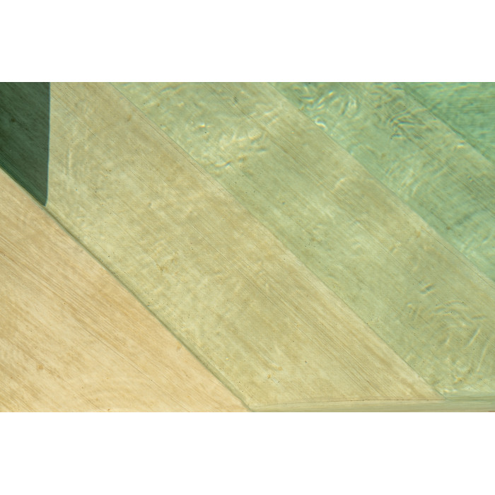 Армована мембрана, 3D Premium Collection, LARCH NATURE, 1,65 з лаковим покриттям LARCH NATURE