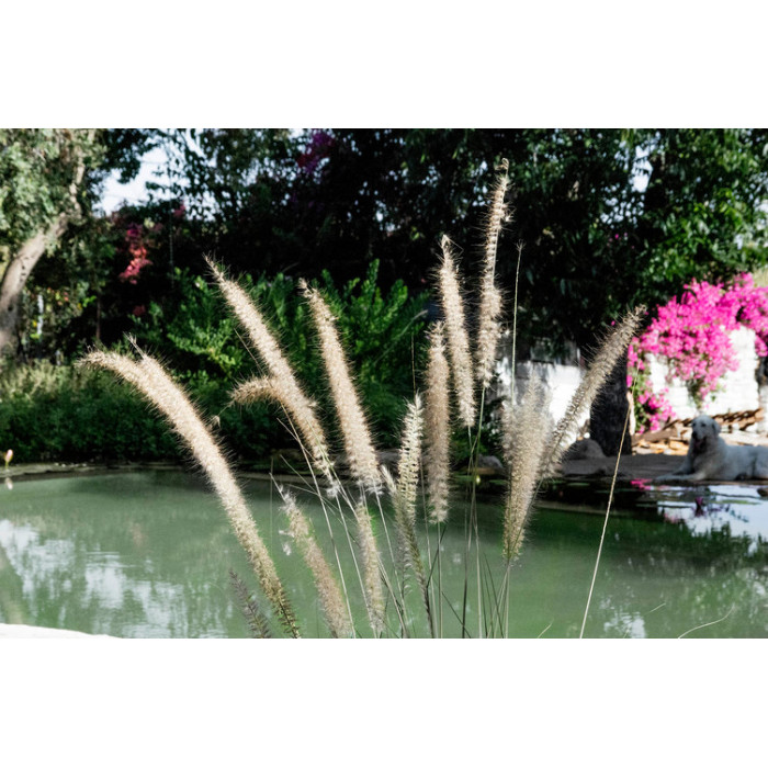 Озерна мембрана Natural Pools, Eco green 7219 зелена, армована 1.5 мм, 1.65мх25м 318157219001
