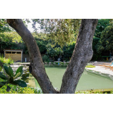 Озерная мембрана Natural Pools, Eco green 7219 зеленая, армированная 1.5 мм, 1.65мх25м 318157219001