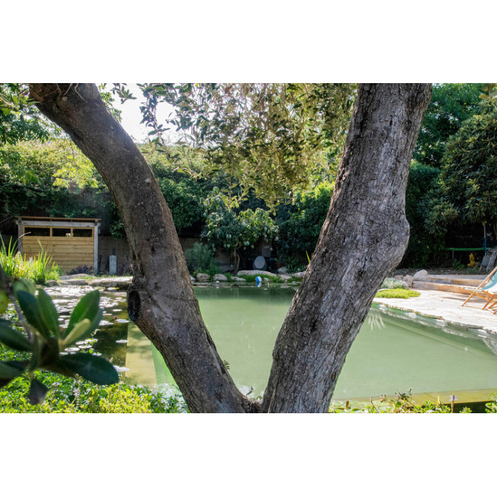 Озерна мембрана Natural Pools, Eco green 7219 зелена, армована 1.5 мм, 1.65мх25м 318157219001