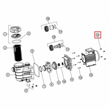 Комплект болтів електродвигуна Hayward, 4 шт. (SPX8100Z1)