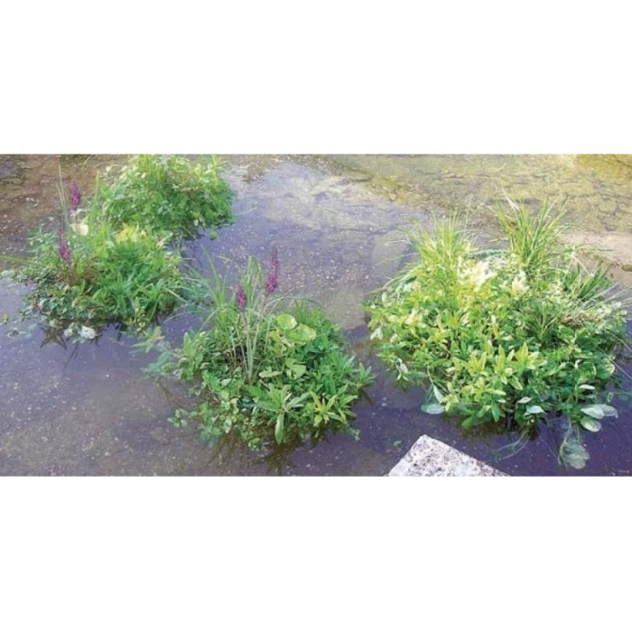Плаваючий острів для водних рослин Plant Islands D 41см