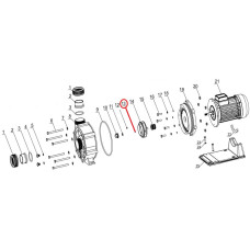 Ущільнювальне кільце корпусу насоса SLP d25х2.4, (F02010026 №12)